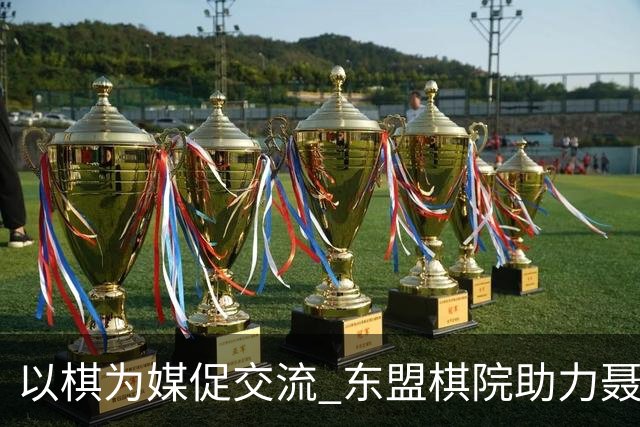 以棋为媒促交流 东盟棋院助力聂卫平杯棋牌大师赛