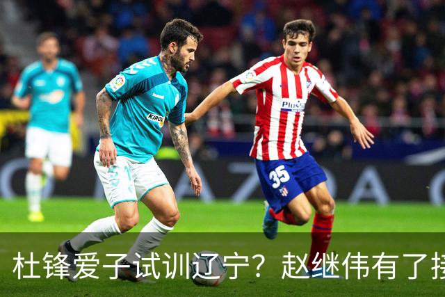 杜锋爱子试训辽宁？赵继伟有了接班人乐坏辽蜜 结果亲妈辟谣了